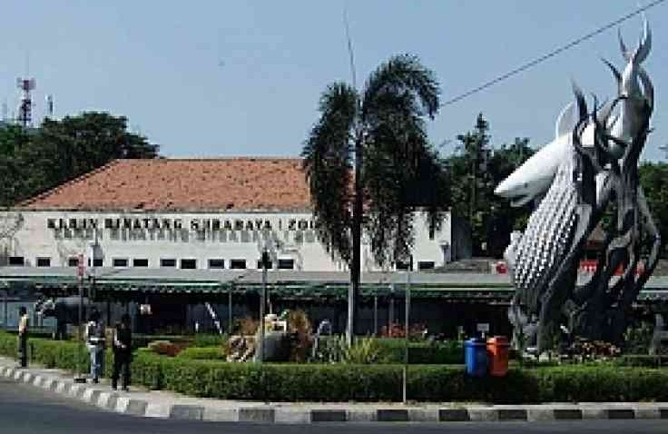 Tempat Wisata di Kota Pahlawan yang Wajib Dikunjungi