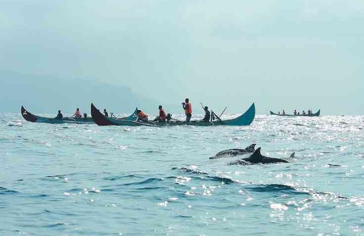 Teluk Kiluan Destinasi Wisata Pantai Tersembunyi di Lampung